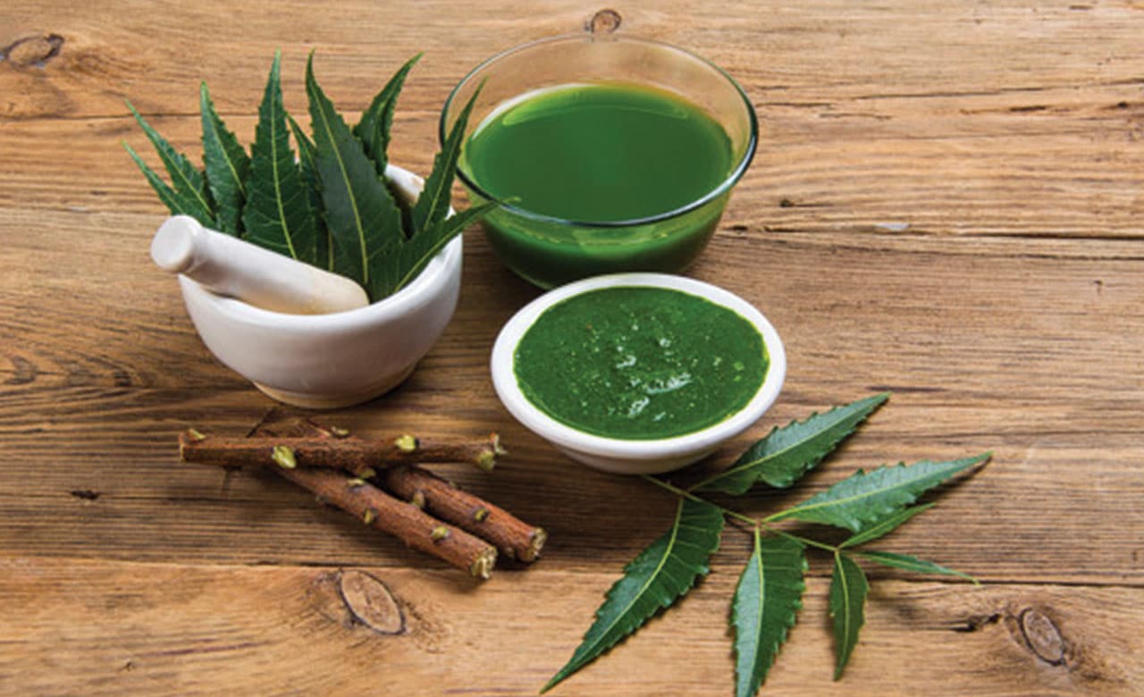 Neem (Indian Lilac)